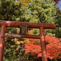 ⛩️神社やお寺が好きです♥️雑談もありの気楽な✨オプへようこそ🪷⛩️🫱