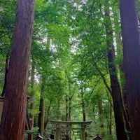 ⛩️神社やお寺が好きです♥️雑談もありの気楽な✨オプへようこそ🪷⛩️🫱
