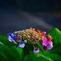 宣伝可能無法地帯