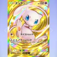 ポケポケ最近情報（大会定期開催）