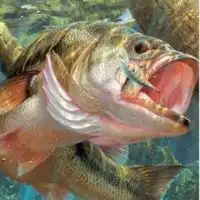 孝成釣り部