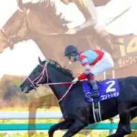 みんなの競馬予想