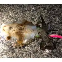 福岡釣りポイント情報交換会