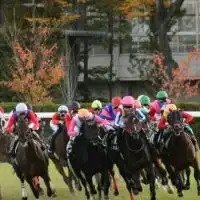 競馬❂enjoy🐴