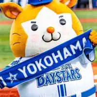 ベイスターズファン集まれ！