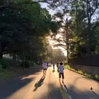 駒沢公園ランニング👟