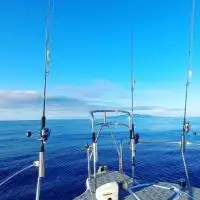 (船釣り🛥️マイボート🛥️レンタルボート)東京湾🐟相模湾🐟️伊豆諸島✨️オープンチャット✨️