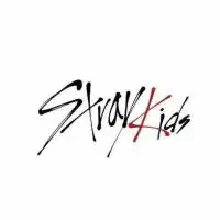 ~straykids推し~