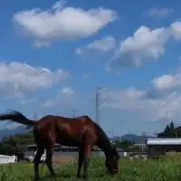 このはな牧場日記