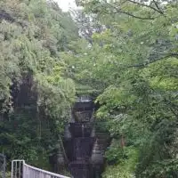 ゆるーくおぷちゃ •ᴗ•ꕤ*