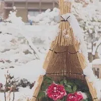 🌹ガーデニング&家庭菜園🍅のお話しましょう♡女子会みたいに楽しく🎶