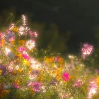 この愛は永遠 ＿＿