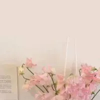 Sara |雑談なし|配信用|無料在宅ワーク🌷モニター紹介