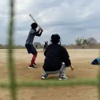 東京野良野球