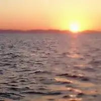 Ocean Lovers