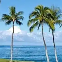 MAHALO GOLF⛳️🌴