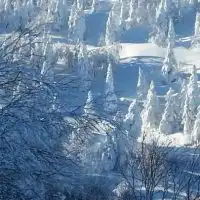 神奈川スノーボード滑り隊