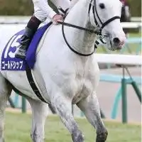 うまんちゅ🐎❤️‍🔥