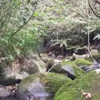 渓流ルアー釣り (餌も可)        Ｖｅｒ．3
