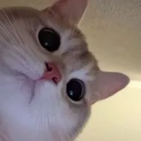 雑談