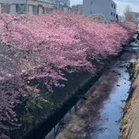 明治大学生田軟式野球部(イクナン)