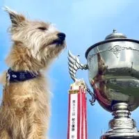 第54回BIGDOG杯