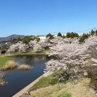 【新歓企画】ようこそ！つくばクイズ