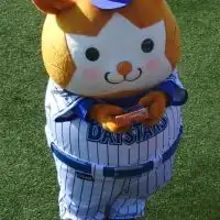 ベイスターズファン集合！