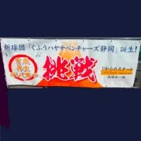 ハヤテベンチャーズ静岡応援会【プロ野球】