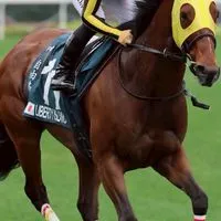 ヒヒーン🩷1発バチコン🏇ゆるゆる競馬雑談部屋🐴❤️🩵