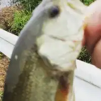 宮城県仙南バス釣り同好会
