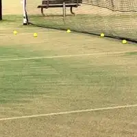 水曜日 テニス🎾どうでしょう🤩