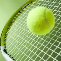 福岡県　🎾硬式テニス　初級🎾