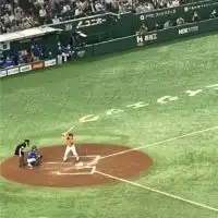 飲みながら野球を観る会