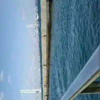 〔関西地方〕ファミリーフィッシング🎣🎣情報共有しましょう❗❗の会　サビキ釣り・穴釣り等