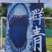 青団🟦