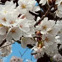 学び愛〜スピリチュアル的幸せになる方法