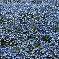 悩み　鬱　大人