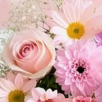 (*´˘`*)🩷50歳60歳の方🥂💕🥀  雑談🌠愚痴🩵ボイスメッセージ♬︎♥ポケカラ🎶🎤OK👌