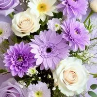 (*´˘`*)🩷50歳60歳の方🥂💕🥀  雑談🌠愚痴🩵ボイスメッセージ♬︎♥ポケカラ🎶🎤OK👌