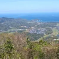 🌅⛩️🍰☕40代50代60代70代以上友情.信頼.思いやり  スタンプでもっと絆を深めたい🎊