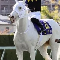 みんなで競馬やろう🐎競馬友達を作ろう！