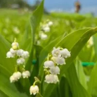一都三県🌈45歳からのグルメとお酒を楽しむお部屋