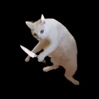 猫や猫ミーム大好きーな人集まってー