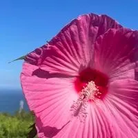 一都三県🌈45歳からのグルメとお酒を楽しむお部屋