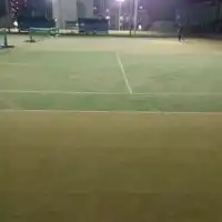 東京、埼玉テニスサークル