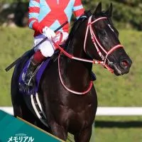 地方競馬と偶に中央競馬雑談部屋