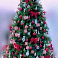 .｡❊ᐝ50から生きがいになる趣味の部屋.｡❊ᐝ