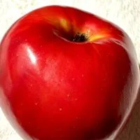 無限♾️しりとり🍎