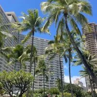 【ビジハブ】　他とは違う旅部✈️🚢